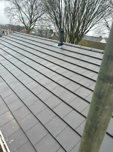 Roof Repairs & Leaks project